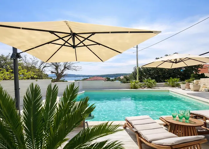 Terraaurora فيلة