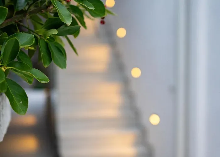 فيلة Terraaurora