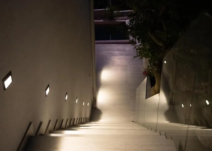 فيلة Terraaurora *