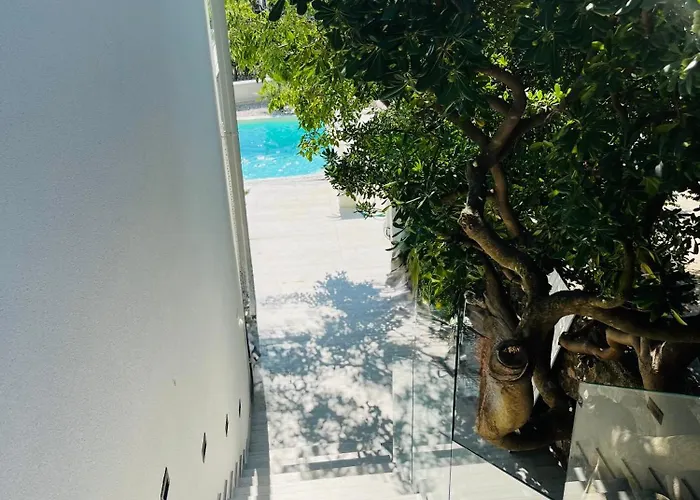 Terraaurora فيلة *