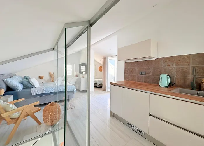 Terraaurora * Barbat na Rabu