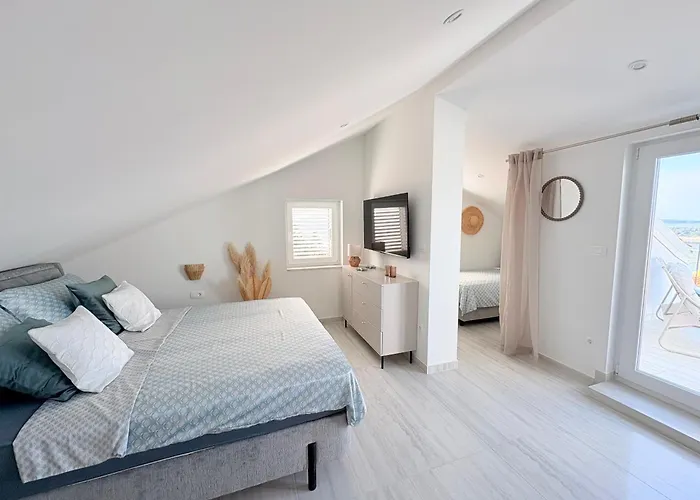 فيلة Terraaurora *