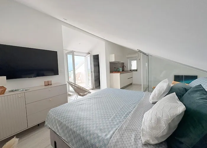 Terraaurora فيلة