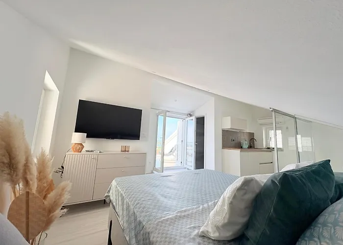 Terraaurora * Barbat na Rabu