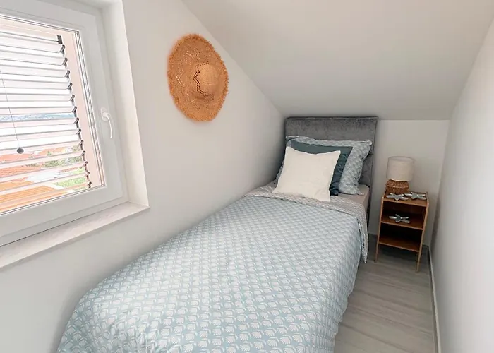 فيلة Terraaurora *