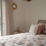 Terraaurora