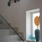 Terraaurora *