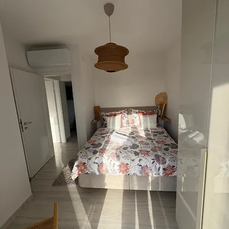 Terraaurora