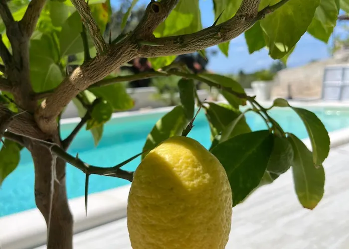 Terraaurora Vila *